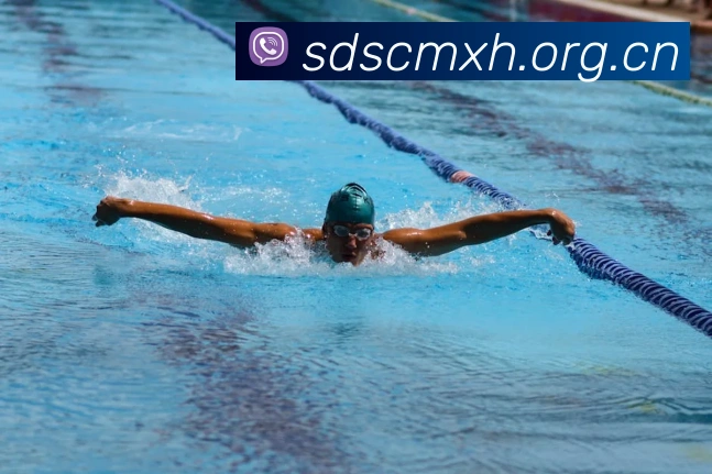 milan登录入口APP 封面图